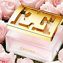 slide-n2-banner-main-alav-true