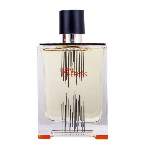 Hermes Terre d'Hermes parfum edt pour homme 100 ml A Plus