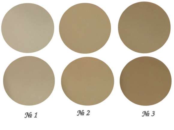 Пудра Kylie Holiday edition 2 in 1 powder cake 10g #1