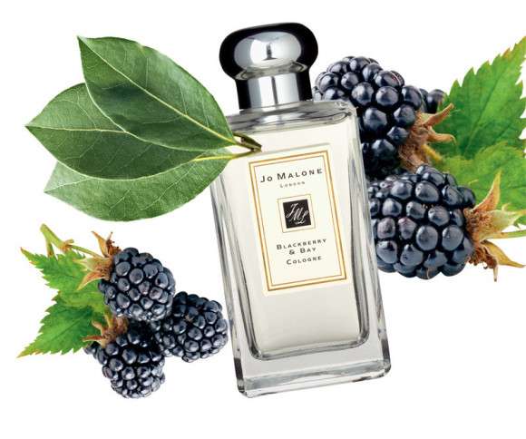 J. M. Blackberry & Bay  for women 100 ml ОАЭ